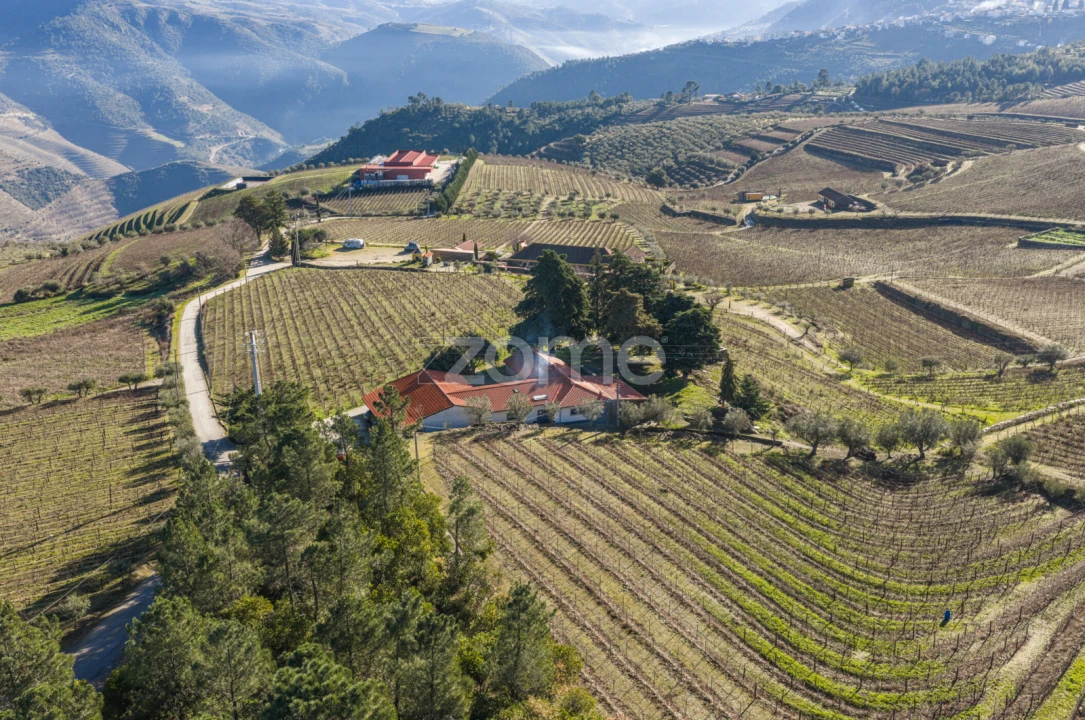 Quinta T5 para Venda em Barcos e Santa Leocádia Foto 65