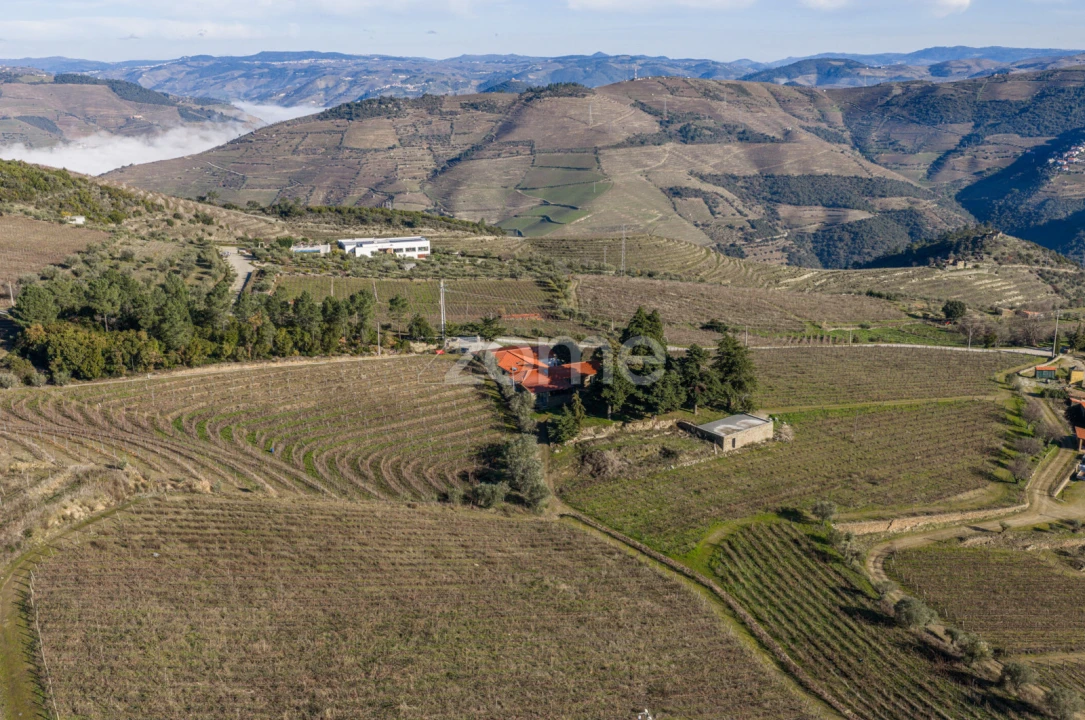 Quinta T5 para Venda em Barcos e Santa Leocádia Foto 67