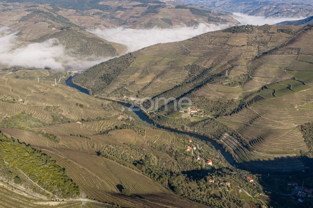 Quinta T5 para Venda em Barcos e Santa Leocádia Foto 68