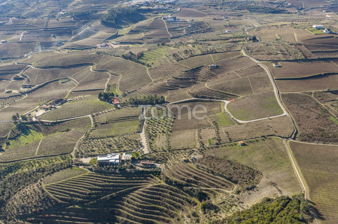 Quinta T5 para Venda em Barcos e Santa Leocádia Foto 73