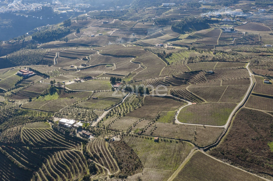 Quinta T5 para Venda em Barcos e Santa Leocádia Foto 74