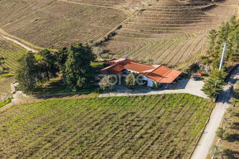 Quinta T5 para Venda em Barcos e Santa Leocádia