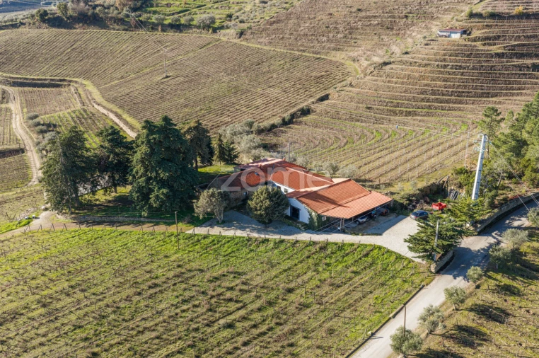 Quinta T5 para Venda em Barcos e Santa Leocádia Foto 64