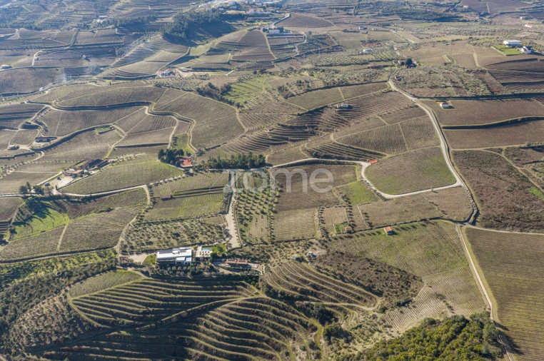 Quinta T5 para Venda em Barcos e Santa Leocádia Foto 73