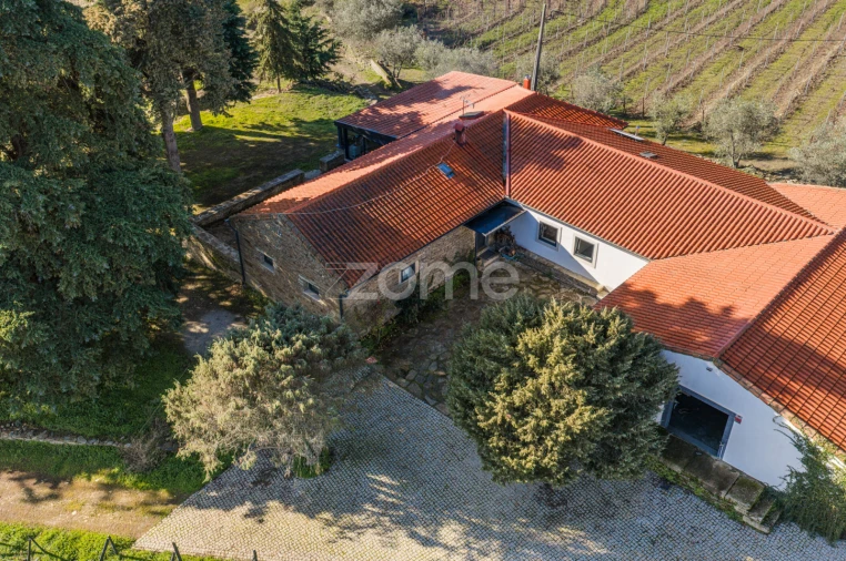 Quinta T5 para Venda em Barcos e Santa Leocádia Foto 2