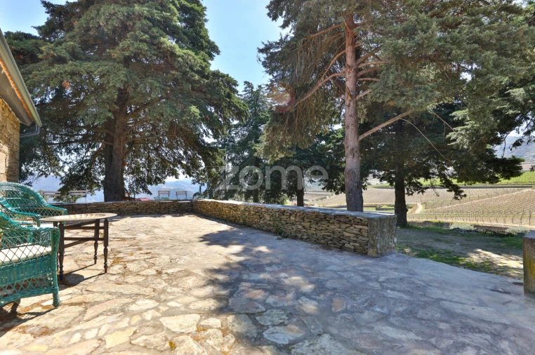 Quinta T5 para Venda em Barcos e Santa Leocádia Foto 15