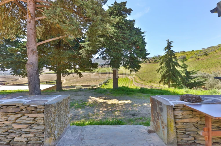 Quinta T5 para Venda em Barcos e Santa Leocádia Foto 23