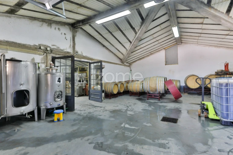 Quinta T5 para Venda em Barcos e Santa Leocádia Foto 22