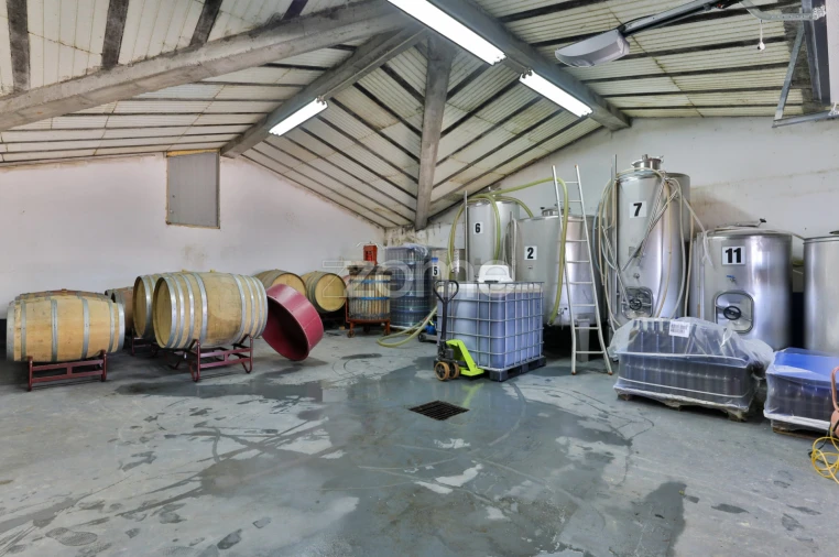 Quinta T5 para Venda em Barcos e Santa Leocádia Foto 25