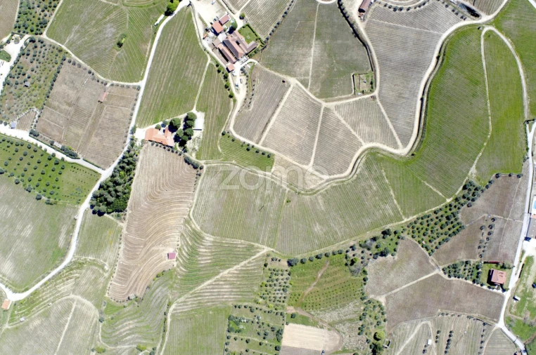 Quinta T5 para Venda em Barcos e Santa Leocádia Foto 28