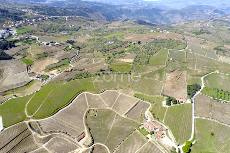 Quinta T5 para Venda em Barcos e Santa Leocádia Foto 30