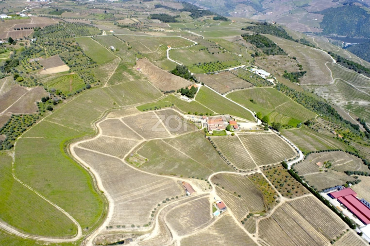 Quinta T5 para Venda em Barcos e Santa Leocádia Foto 31