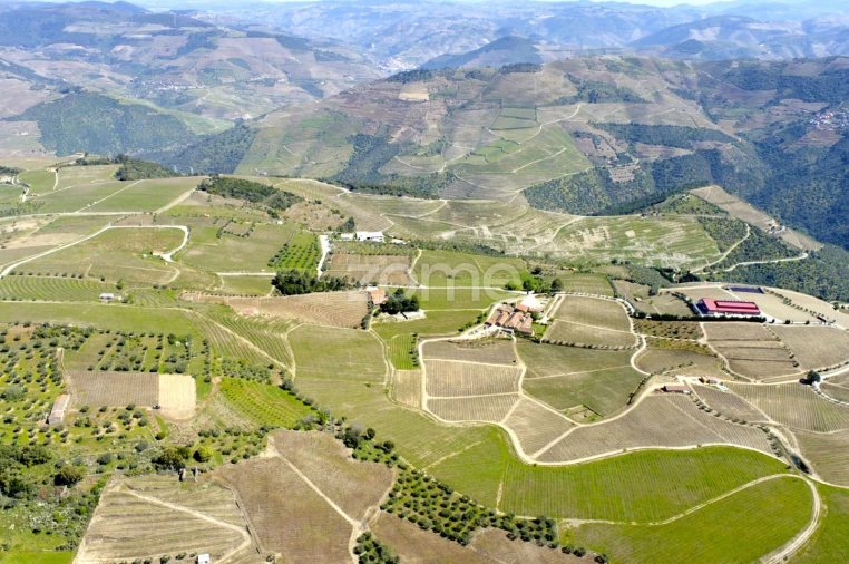 Quinta T5 para Venda em Barcos e Santa Leocádia Foto 33
