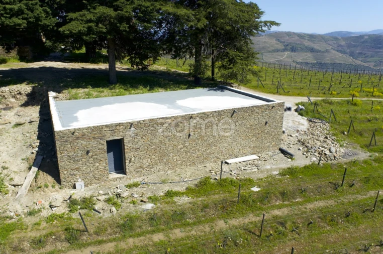 Quinta T5 para Venda em Barcos e Santa Leocádia Foto 35