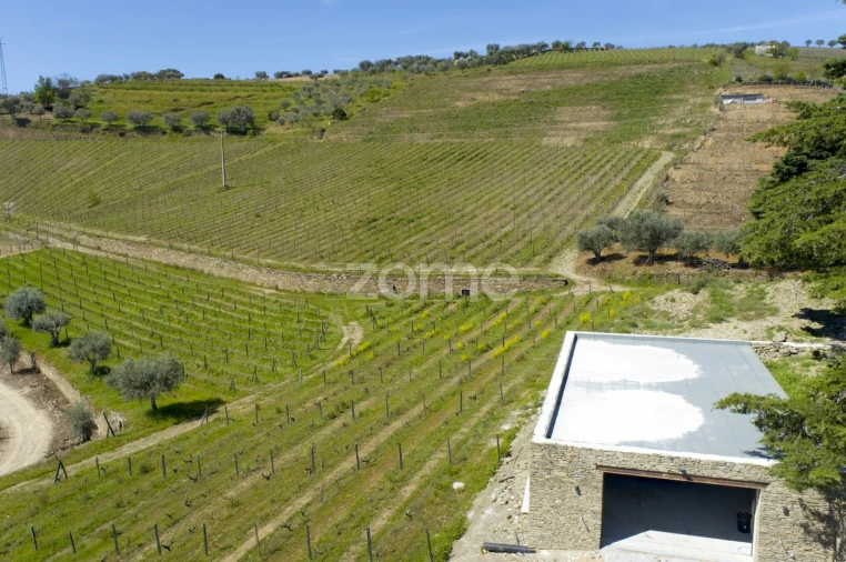 Quinta T5 para Venda em Barcos e Santa Leocádia Foto 40