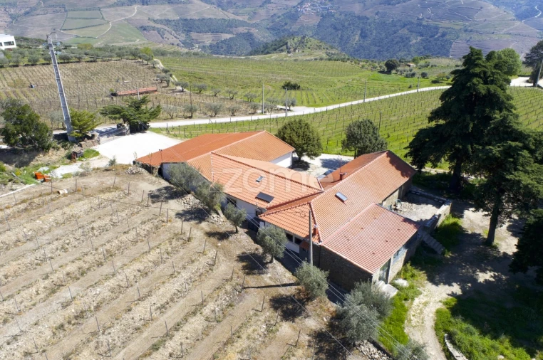 Quinta T5 para Venda em Barcos e Santa Leocádia Foto 42