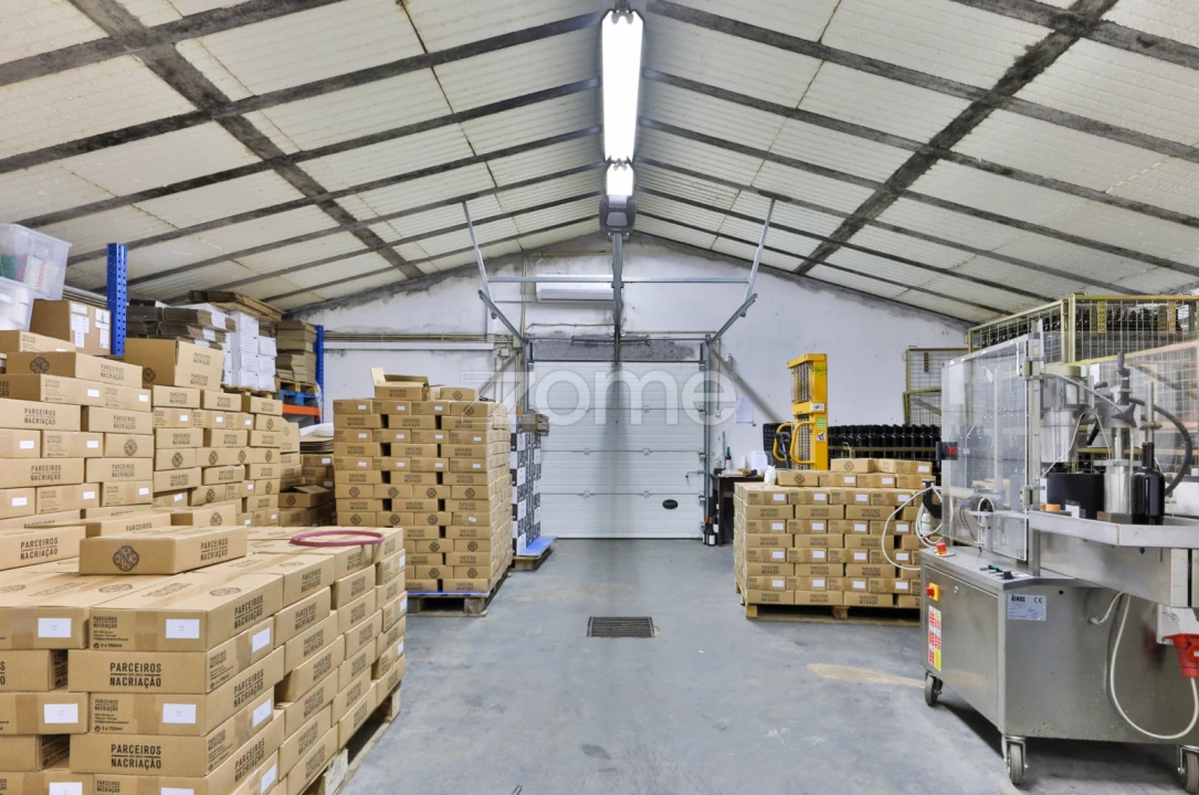 Quinta T5 para Venda em Barcos e Santa Leocádia Foto 24