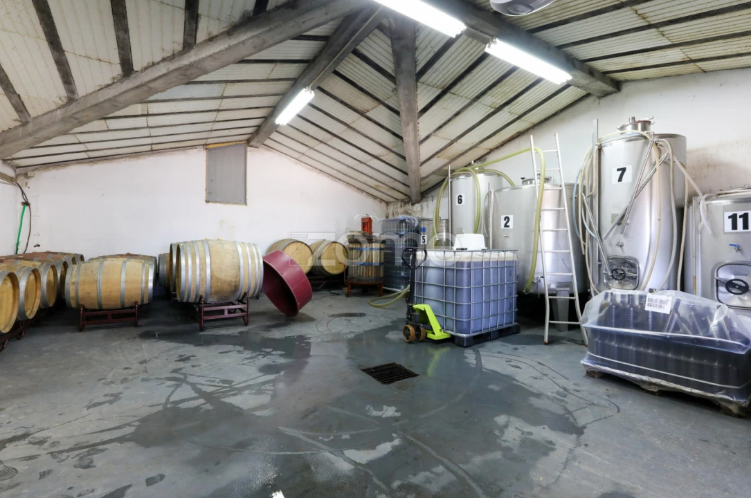 Quinta T5 para Venda em Barcos e Santa Leocádia Foto 26