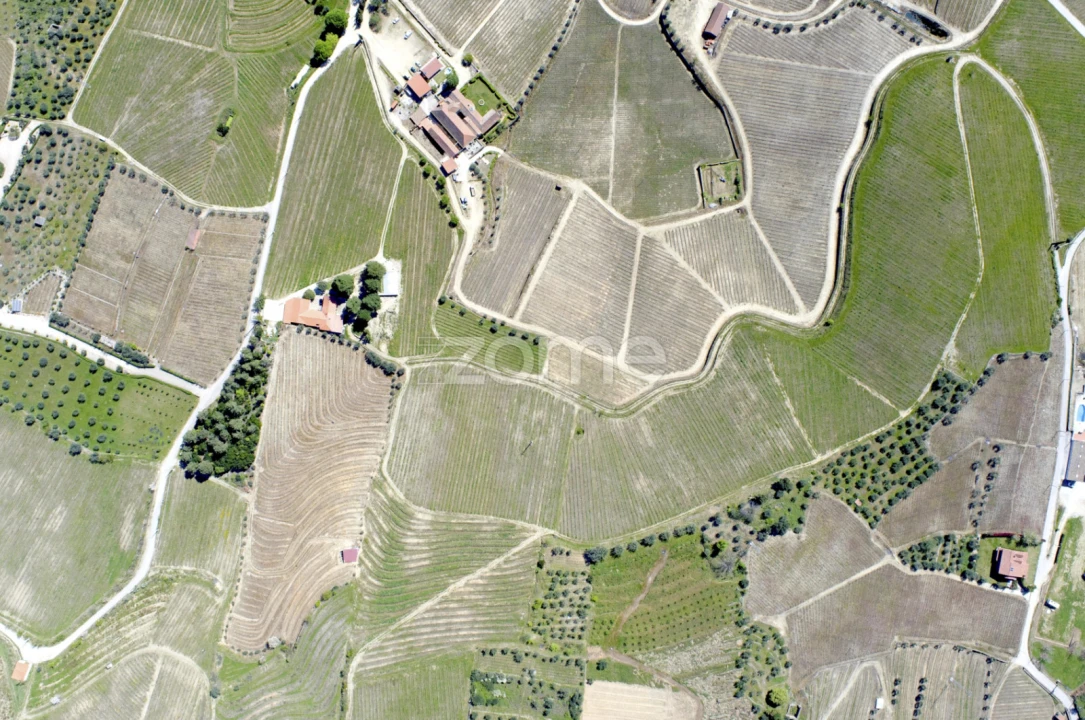 Quinta T5 para Venda em Barcos e Santa Leocádia Foto 27