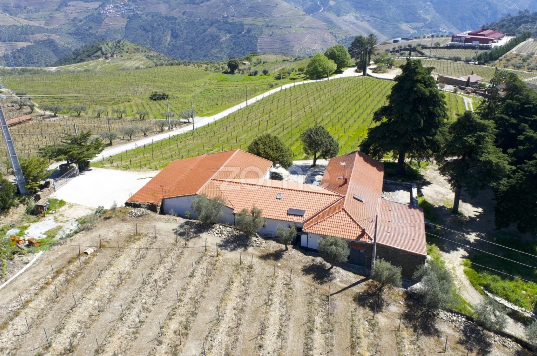 Quinta T5 para Venda em Barcos e Santa Leocádia Foto 41