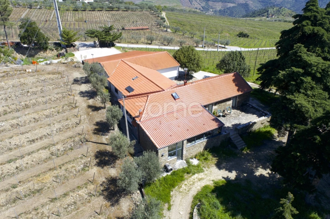 Quinta T5 para Venda em Barcos e Santa Leocádia Foto 43