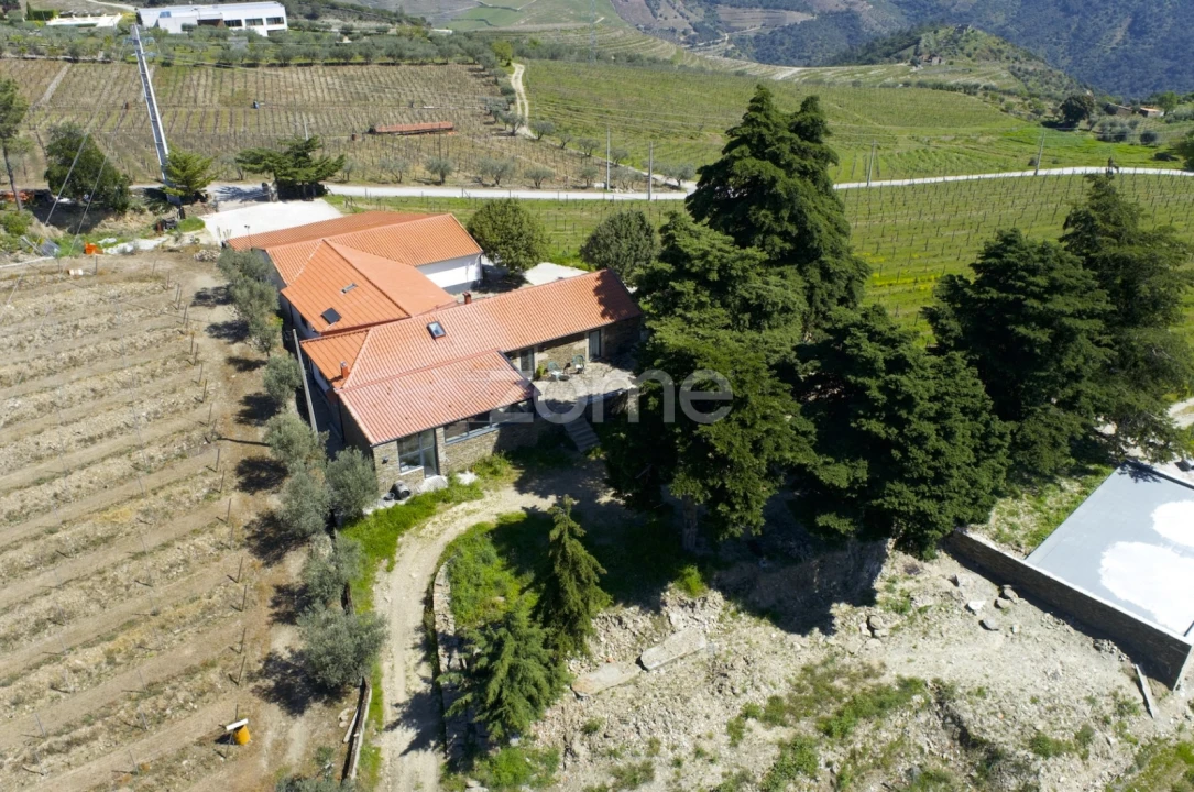 Quinta T5 para Venda em Barcos e Santa Leocádia Foto 45