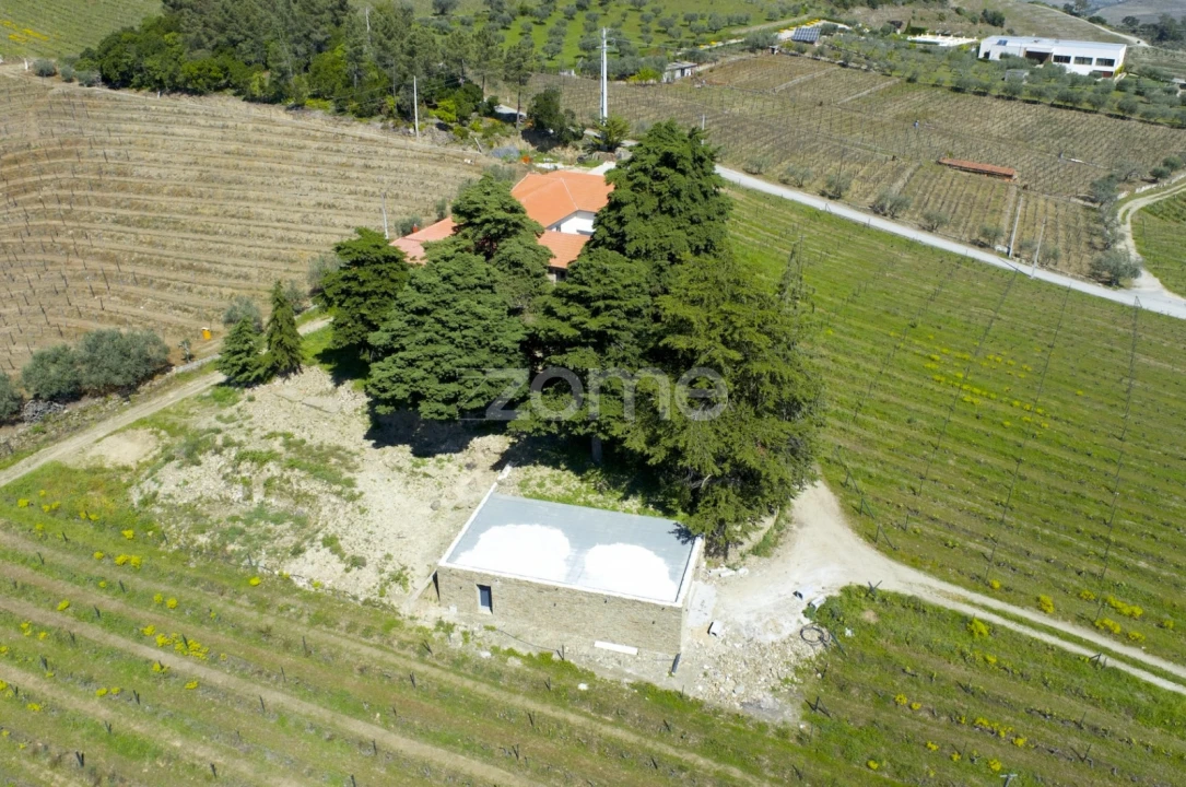 Quinta T5 para Venda em Barcos e Santa Leocádia Foto 48