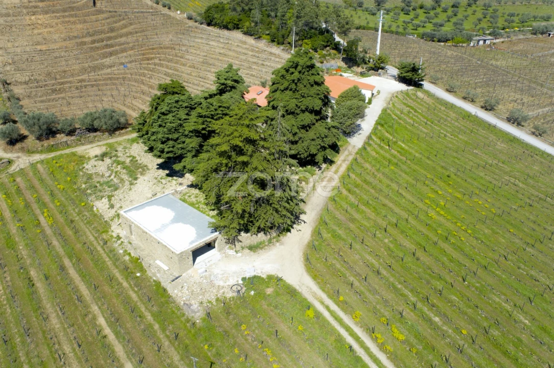 Quinta T5 para Venda em Barcos e Santa Leocádia Foto 49