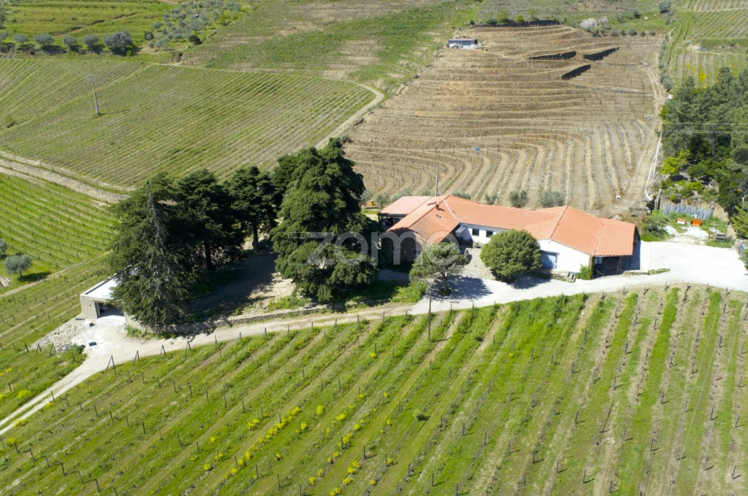 Quinta T5 para Venda em Barcos e Santa Leocádia Foto 52