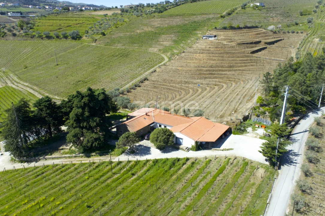 Quinta T5 para Venda em Barcos e Santa Leocádia Foto 53