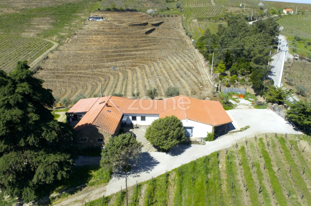 Quinta T5 para Venda em Barcos e Santa Leocádia Foto 54