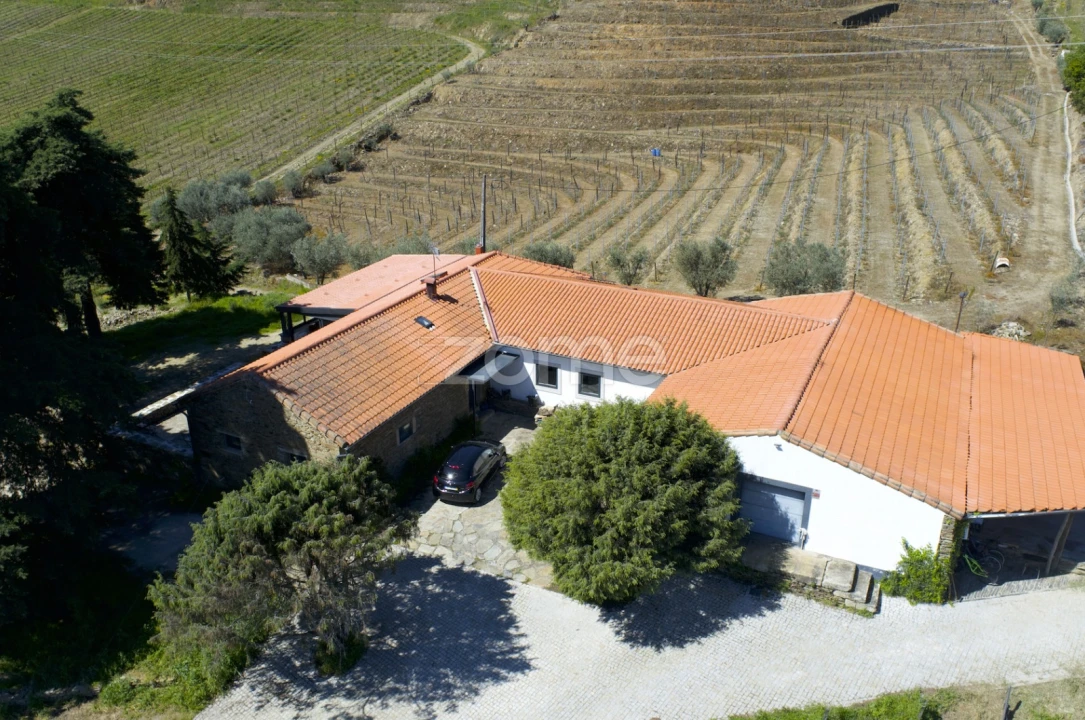 Quinta T5 para Venda em Barcos e Santa Leocádia Foto 55