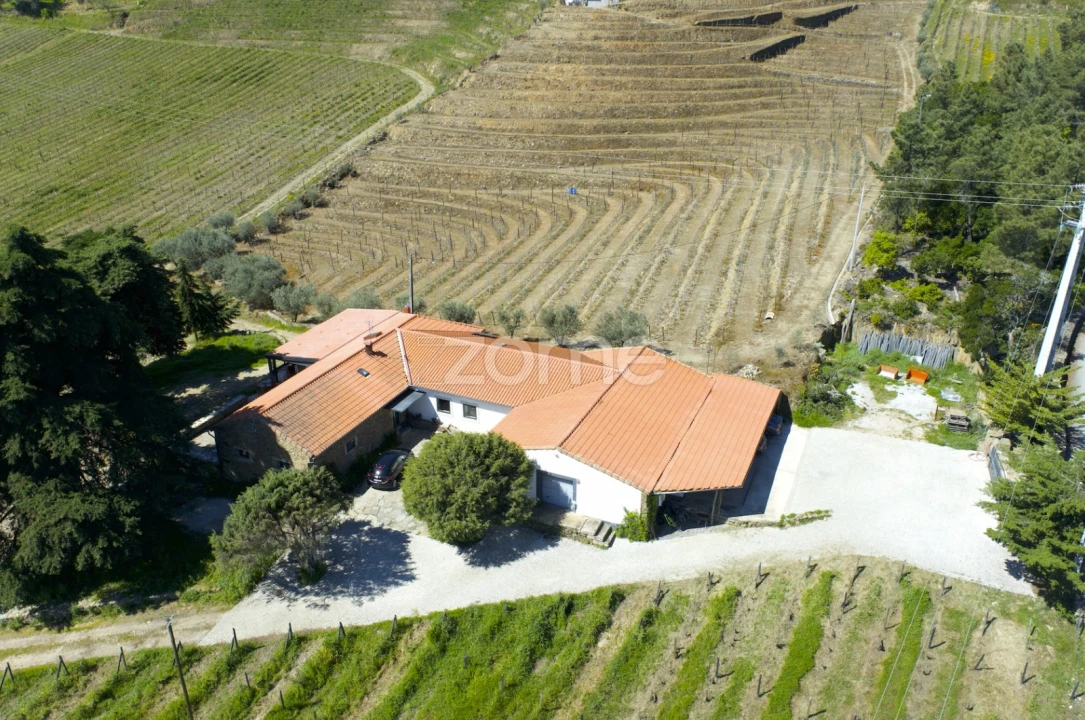 Quinta T5 para Venda em Barcos e Santa Leocádia Foto 57
