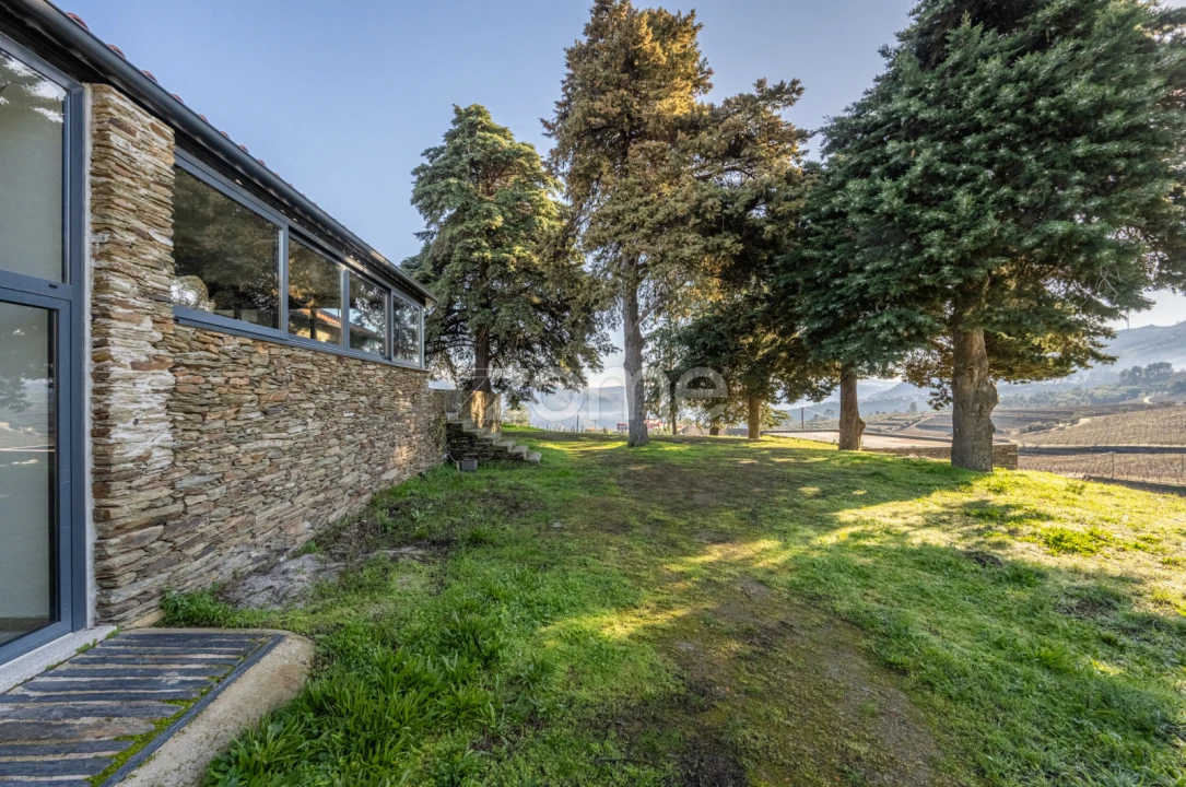 Quinta T5 para Venda em Barcos e Santa Leocádia Foto 8