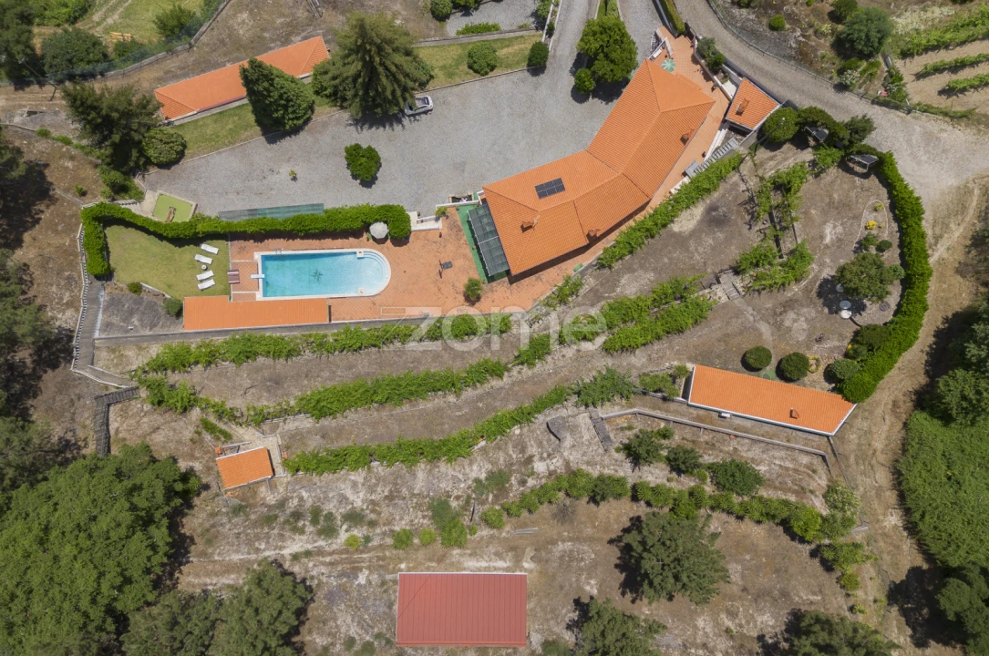 Quinta T5 para Venda em Amarante (São Gonçalo), Madalena, Cepelos e Gatão Foto 3