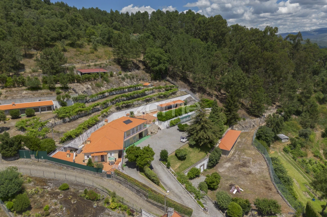 Quinta T5 para Venda em Amarante (São Gonçalo), Madalena, Cepelos e Gatão Foto 6
