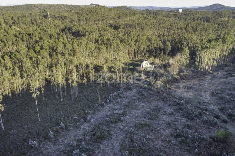 Terreno para Venda em Folgosa Foto 18