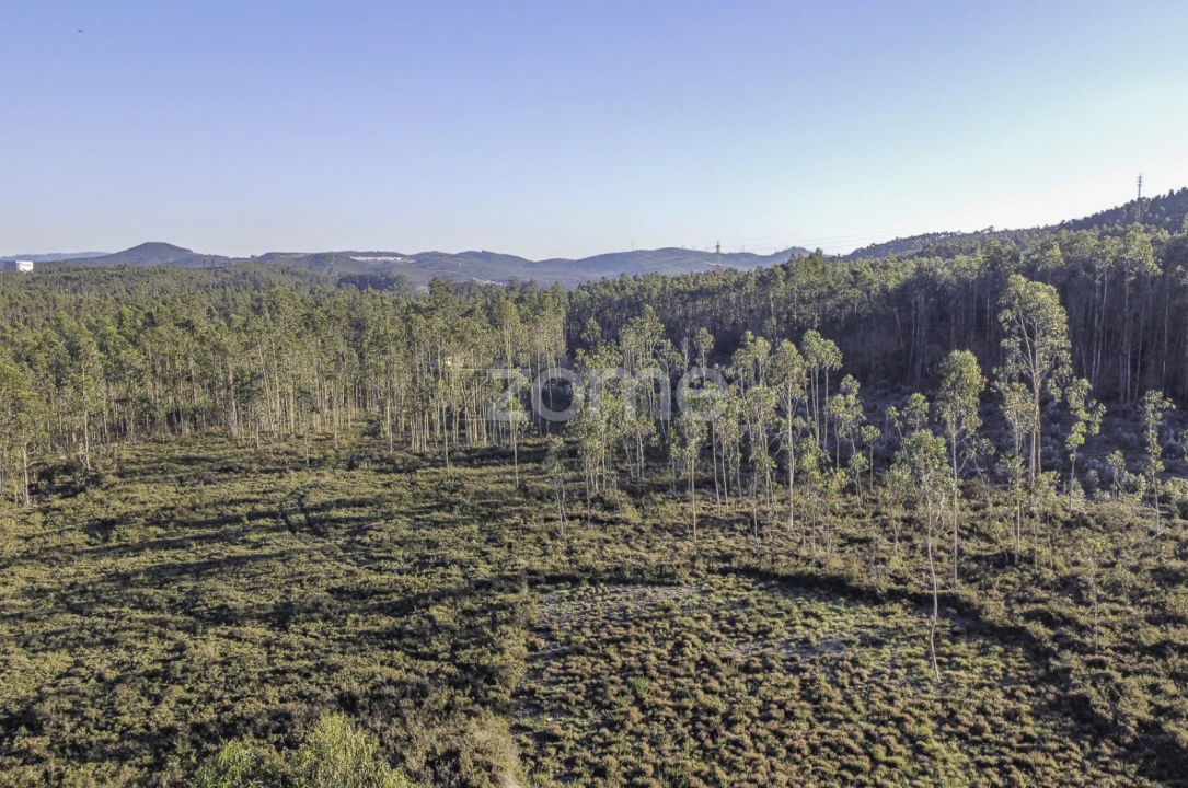 Terreno para Venda em Folgosa Foto 1