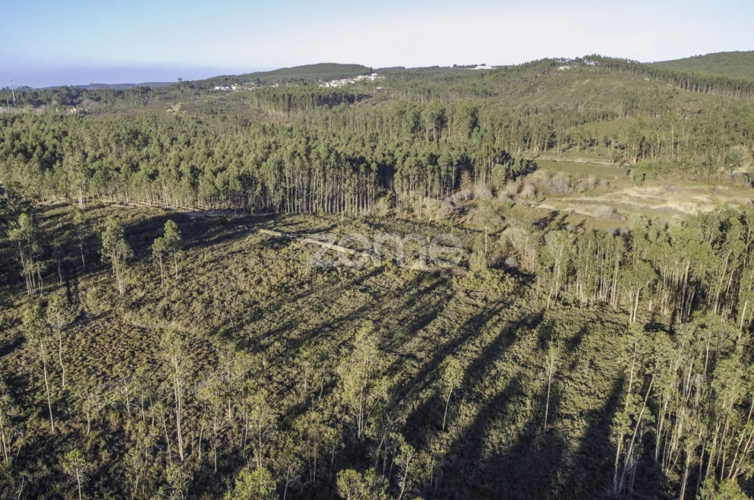 Terreno para Venda em Folgosa Foto 16