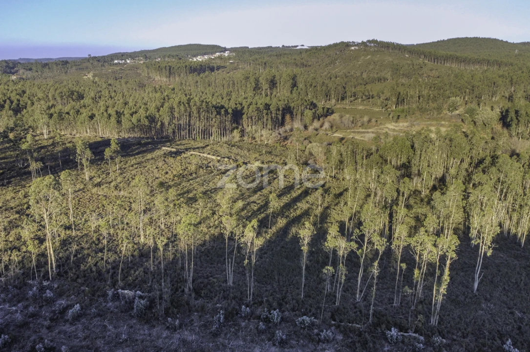 Terreno para Venda em Folgosa Foto 17
