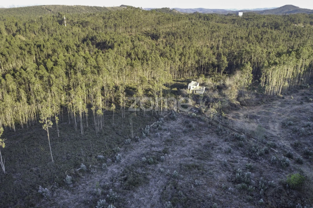 Terreno para Venda em Folgosa Foto 18