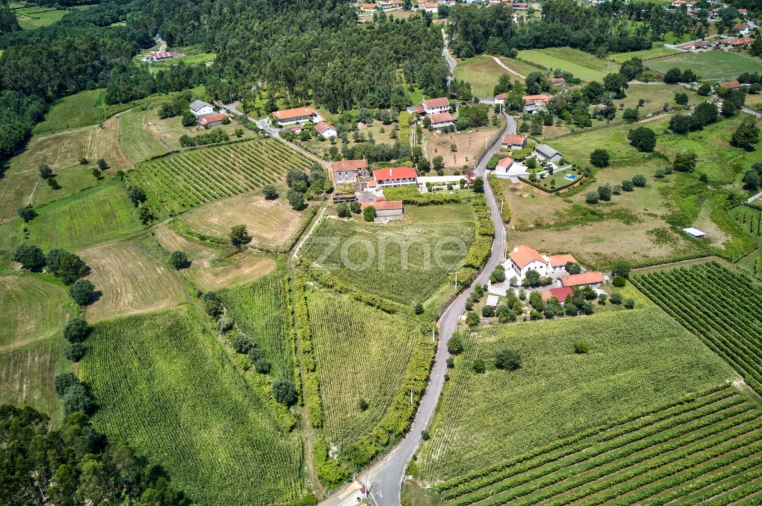 Moradia T5 para Venda em Ardegão, Freixo e Mato Foto 12