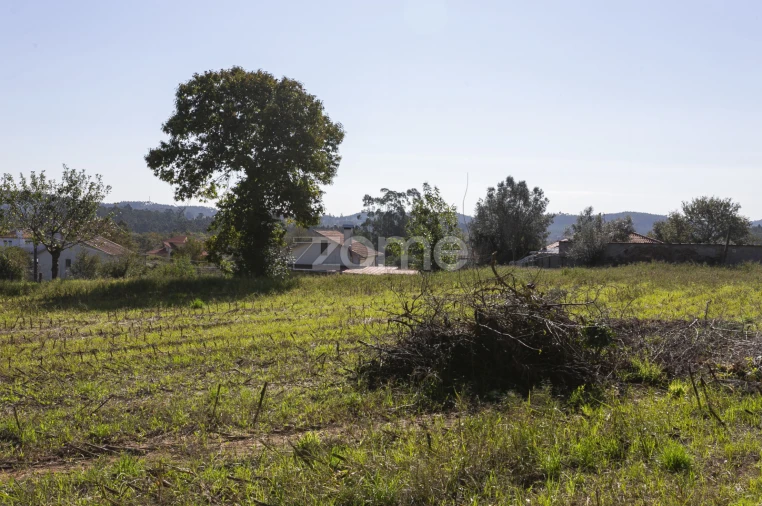 Moradia T4 para Venda em Arca e Ponte de Lima Foto 50