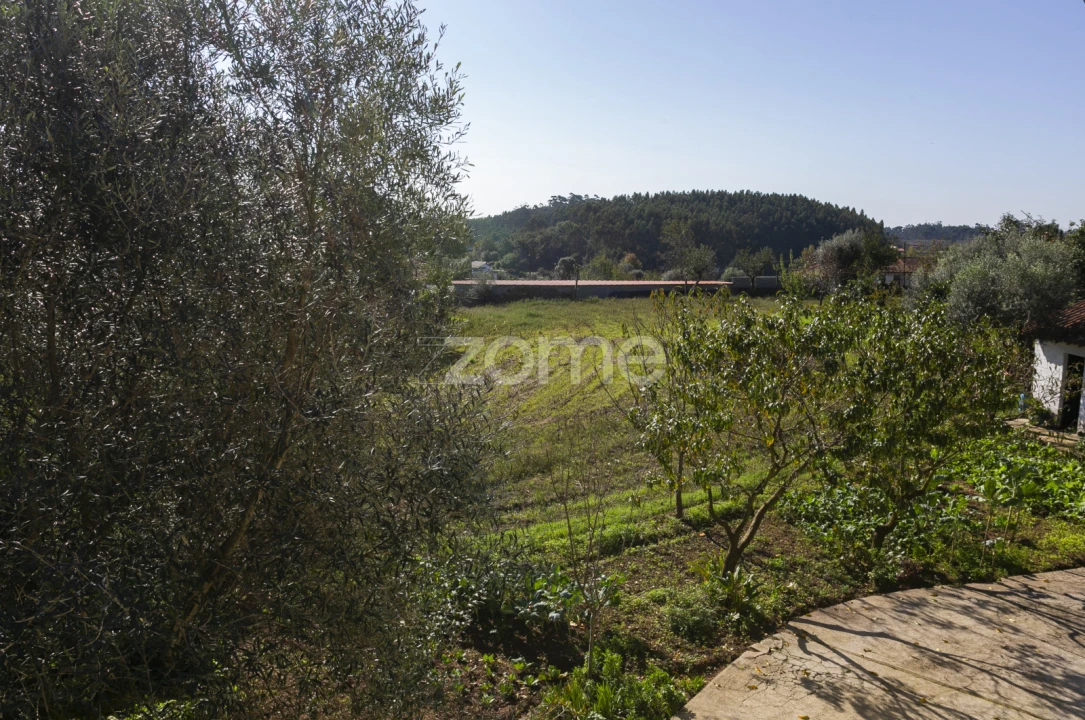 Moradia T4 para Venda em Arca e Ponte de Lima Foto 52