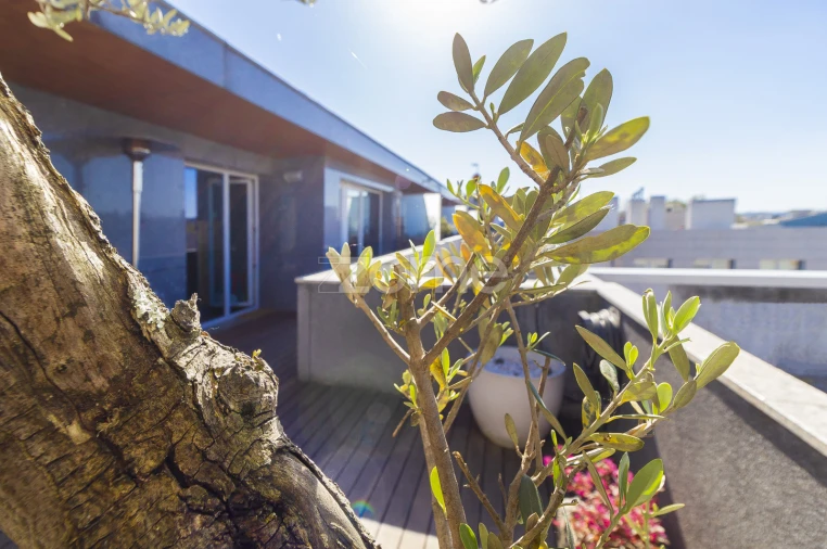 Apartamento T4 para Venda em Creixomil Foto 2