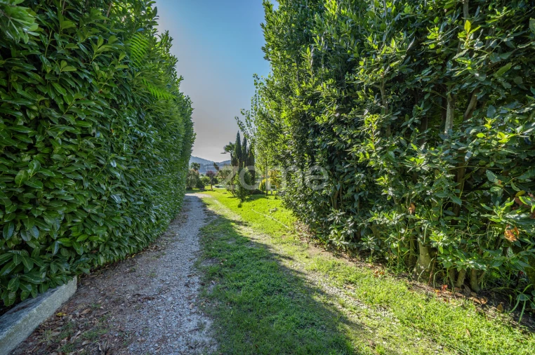 Terreno para Venda em Campos e Louredo Foto 7