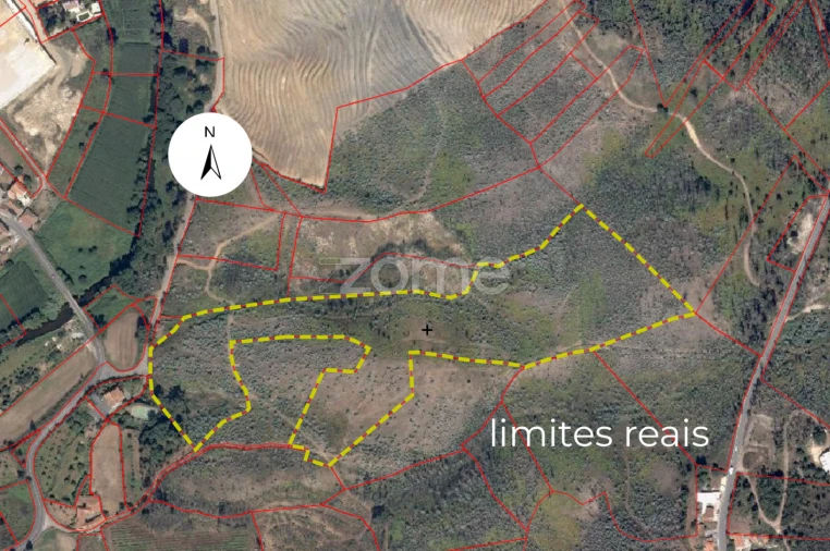 Terreno para Venda em Sobreira Foto 4