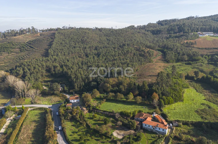 Terreno para Venda em Sobreira Foto 3