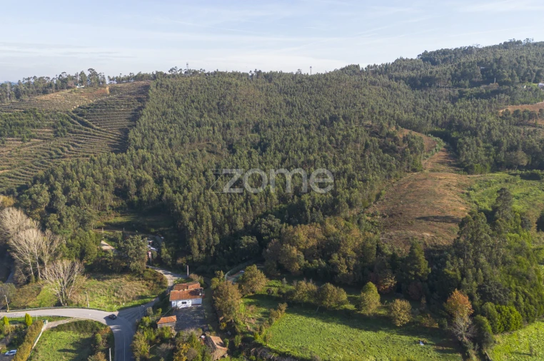 Terreno para Venda em Sobreira Foto 2