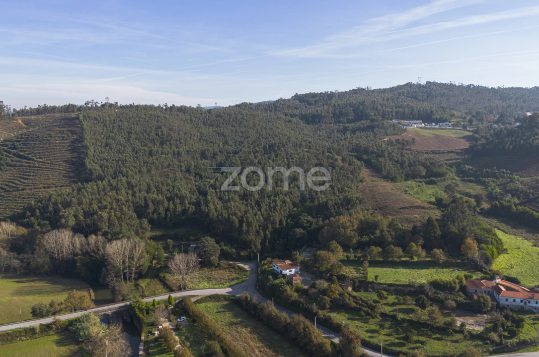 Terreno para Venda em Sobreira Foto 5
